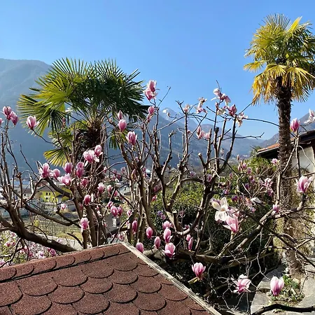 Casa Girasol Holiday home *